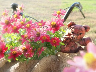 basket of flowers