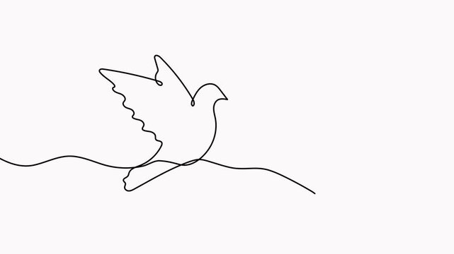 Flying couple doves continuous one line drawing animated video. Love and freedom bird symbol animation.
