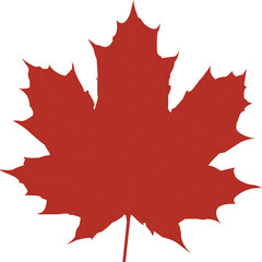 red maple leaf