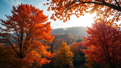 Autumn Transition: Foliage to Dormancy