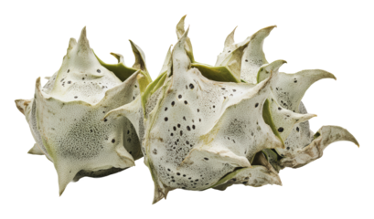 Unique spiked fruit showcasing natural patterns, cut out - stock png.