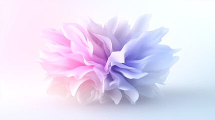 Fototapeta premium white flower in pink and blue background