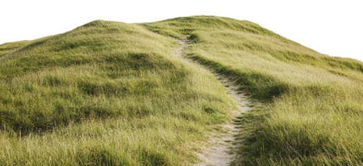 Pathway winding through grassy hills in nature, cut out - stock png.