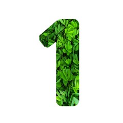 Number 1 on Leaves On White background