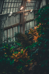 tropical greenhouse with artificial lighting