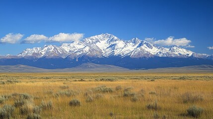 Obraz premium Snow capped mountains rise above a vast grassy plain