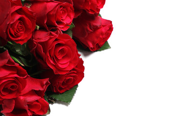 Bouquet of beautiful red rose flowers for Valentine's Day celebration on white background, closeup