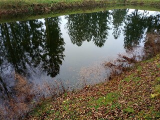 Reflection of trees on the water surface of a picturesque pond. Beautiful pond with clear clean water and high banks.