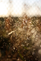 a close up of water droplets on a window with a blurred background