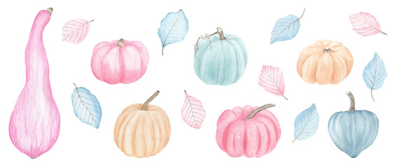 Hand painted set of watercolour pumpkins in pastel shades, isolated on a transparent background.  Perfect for digital scrapbooking, personalised gifts, craft projects, art prints and more