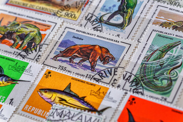 Philately.Collection of stamps and magnifying glass.Collection of vintage animal stamps.A page of storage book album for storing old postage stamps.