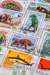 Philately.Collection of stamps and magnifying glass.Collection of vintage animal stamps.A page of storage book album for storing old postage stamps.