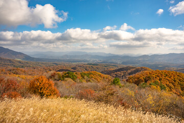 秋晴れの休日の日におでかけ