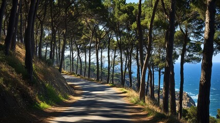 A winding coastal road lined with tall pine trees, with the ocean visible through the trees. 