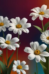 White flowers over colored background