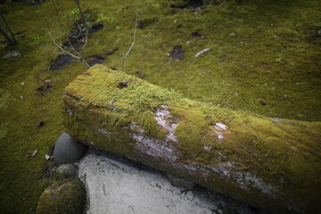 Kurokawa Onsen Village in Kyushu, Japan