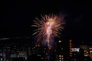 fireworks over the river