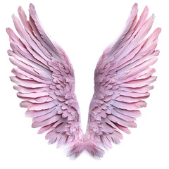 Obraz premium Ethereal pink angel wings gracefully spread on a transparent background, creating a delicate and beautiful image