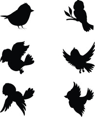 birds silhouettes on white background. Vector illustration. isolated bird flying