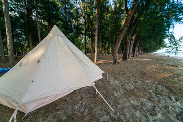 Camping dome tent morning sunrise on sea beach pine tree forest
