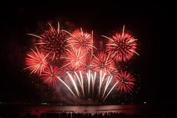 Spectacular Fireworks Festival: A Celebration of Light and Joy