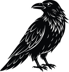 Raven Silhouette Vector Illustration