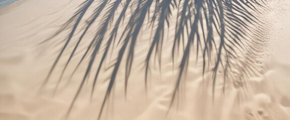 Obraz premium Abstract pattern of palm leaf shadows on sandy beach under clear blue sky, sunny day, serene atmosphere, relaxation