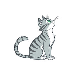 cat vector art and illustration