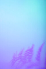 Tropical leaves in neon light with duotone shadows