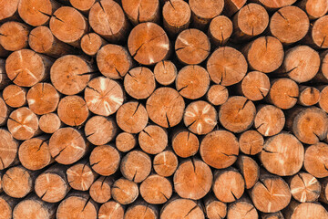 A close-up texture of neatly stacked wooden logs with visible growth rings and natural cracks, showcasing the warm, earthy tones of the timber.