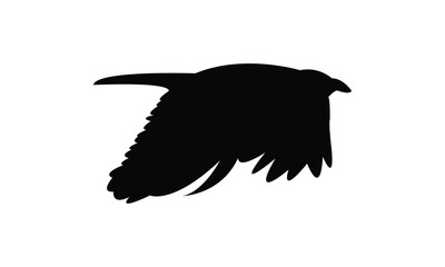 Flying Crow Bird Silhouette Design  And Vector Illustration. 