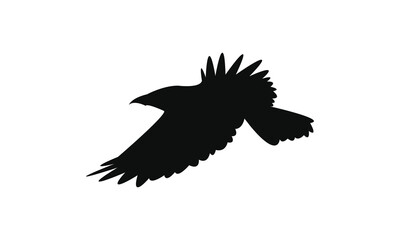 Flying Crow Bird Silhouette Design  And Vector Illustration. 