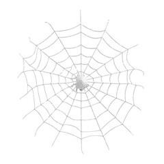 Obraz premium Silver Spider Web