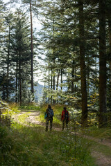 Groupe de personnes en randonnée dans la forêt sur un chemin dans la nature