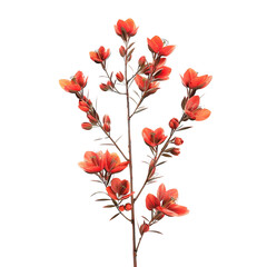 Blooming Branch with Red Flowers
