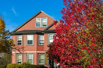 Elegant family house with colorful autumn tree in front in Watertown, Massachusetts, USA
