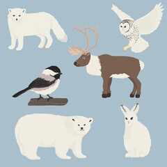 winter animals illustration, polar bear, reindeer, arctic wolf, hare, owl, black-capped chickadee