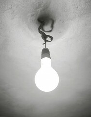 A sleek LED lamp in black and white, creating a modern and stylish ambiance with its minimalist design and striking contrast.