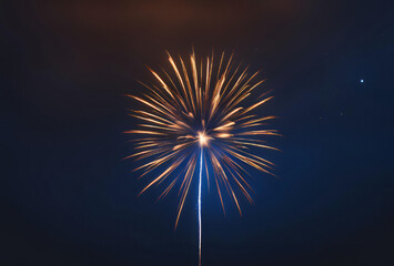 Fototapeta premium fireworks in the sky