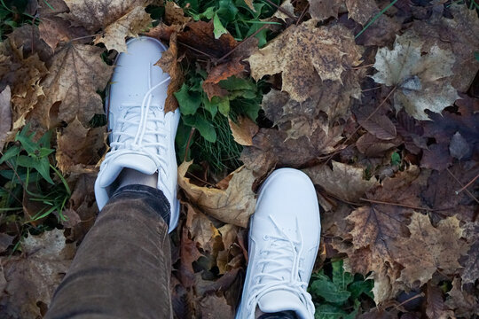 Women's legs in white sneakers standing on autumn leaves and green grass, creating a contrast between the vibrant autumn colors and fresh greenery