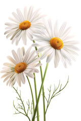 chamomile tea Generative AI