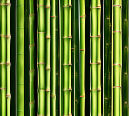 Fototapeta premium background collage of green bamboo fence surface texture. Background for banner, backdrop or texture mapping.generative ai