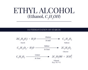 Preparation of Ethyl Alcohol