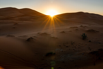 Sand dunes in the desert