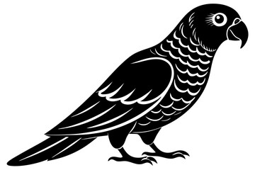 African Grey Parrot silhouette vector art on a whit background 