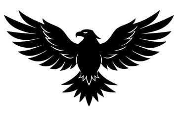 Obraz premium eagle with wings