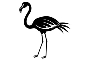 Lesser Flamingo silhouette vector art on a whit background 