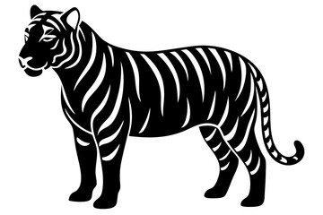 tiger vector illustration