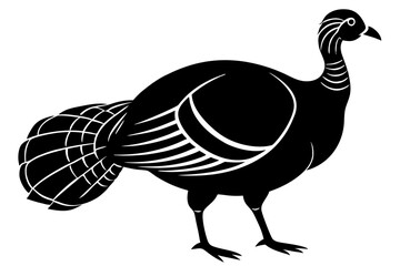 Wild Turkey silhouette vector art on a whit background 