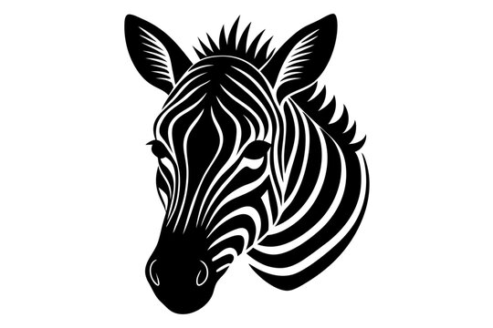 zebra head vector